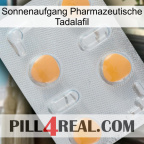 Sunrise Pharmaceutical Tadalafil 24